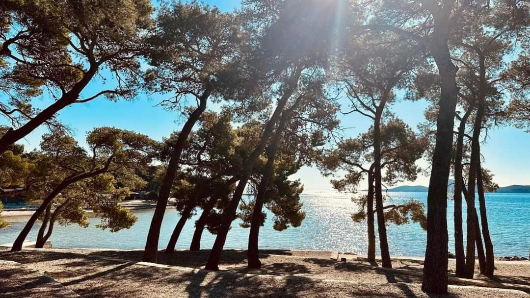 Lana Lägenhet Biograd Na Moru Exteriör bild